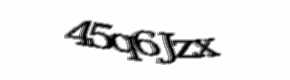 Security check image, please type the characters shown